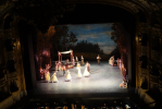 Návštěva představení baletu ve Státní opeře